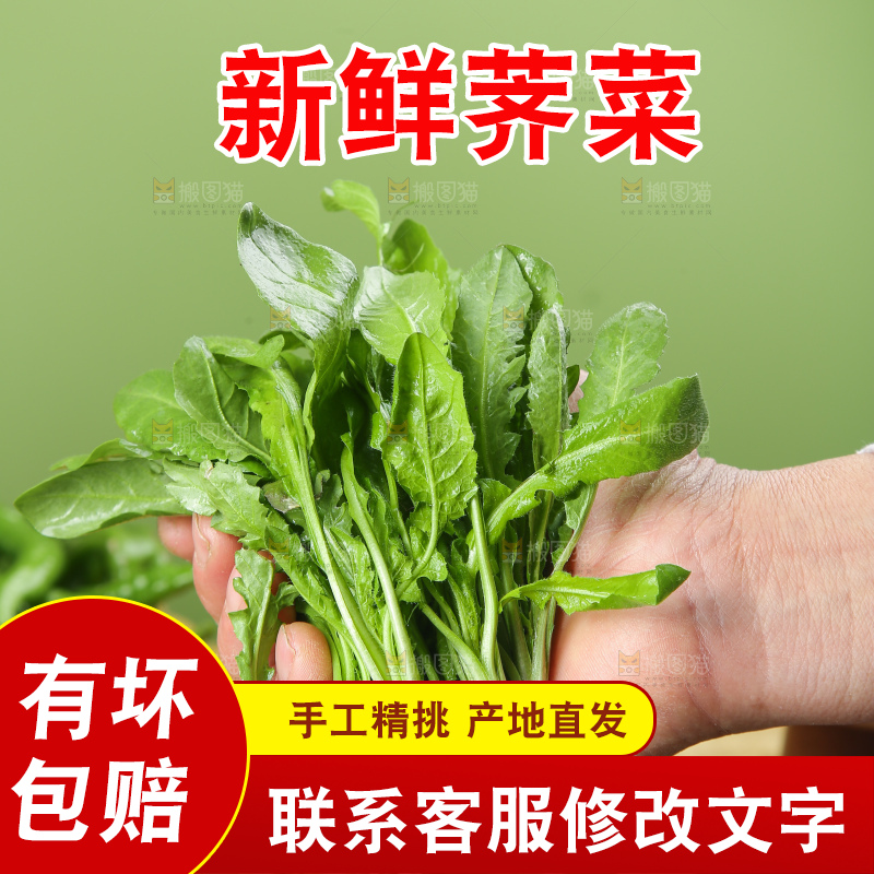 木底上的地菜