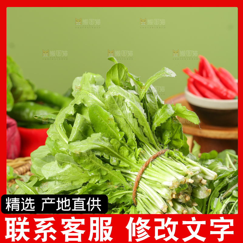 木底上的地菜