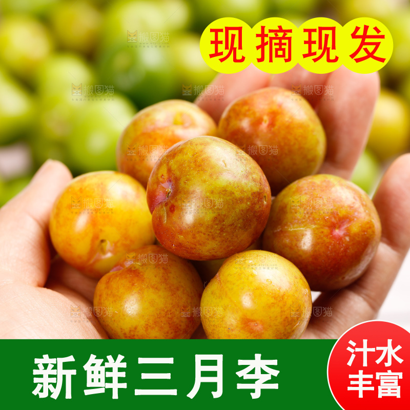 浅底上的三月李