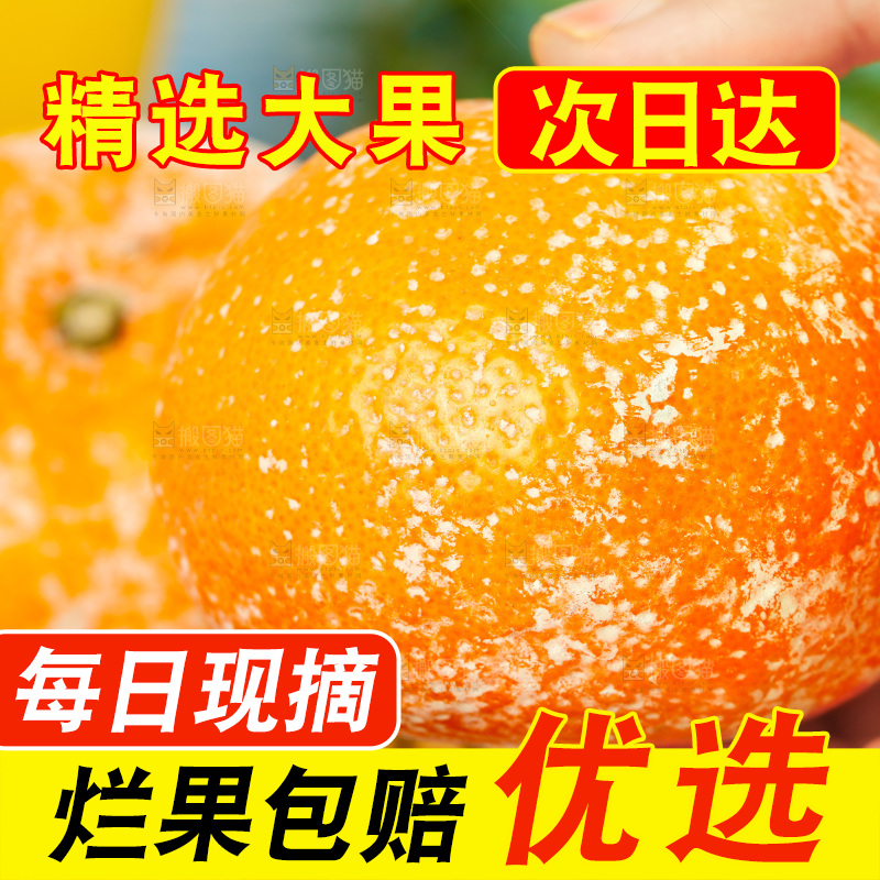 浅底上的茂谷柑