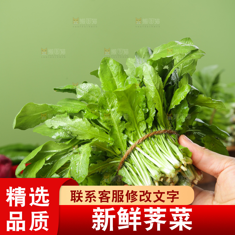 木底上的地菜