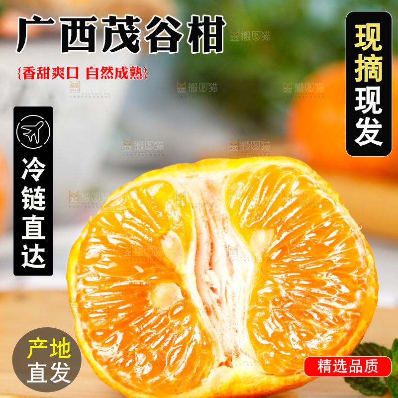 浅底上的茂谷柑