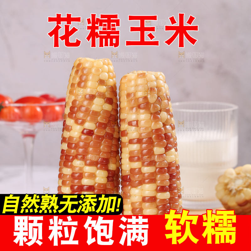 浅底上的花糯小玉米