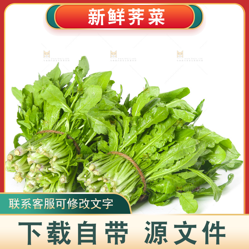 白底上的荠菜