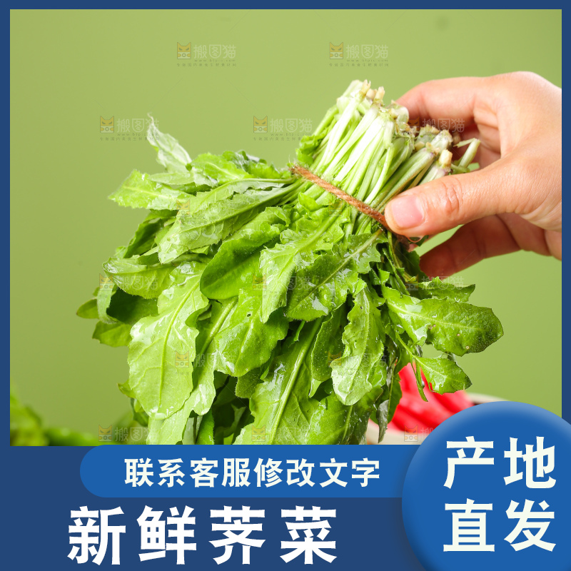 木底上的地菜