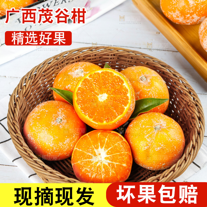 浅底上的茂谷柑