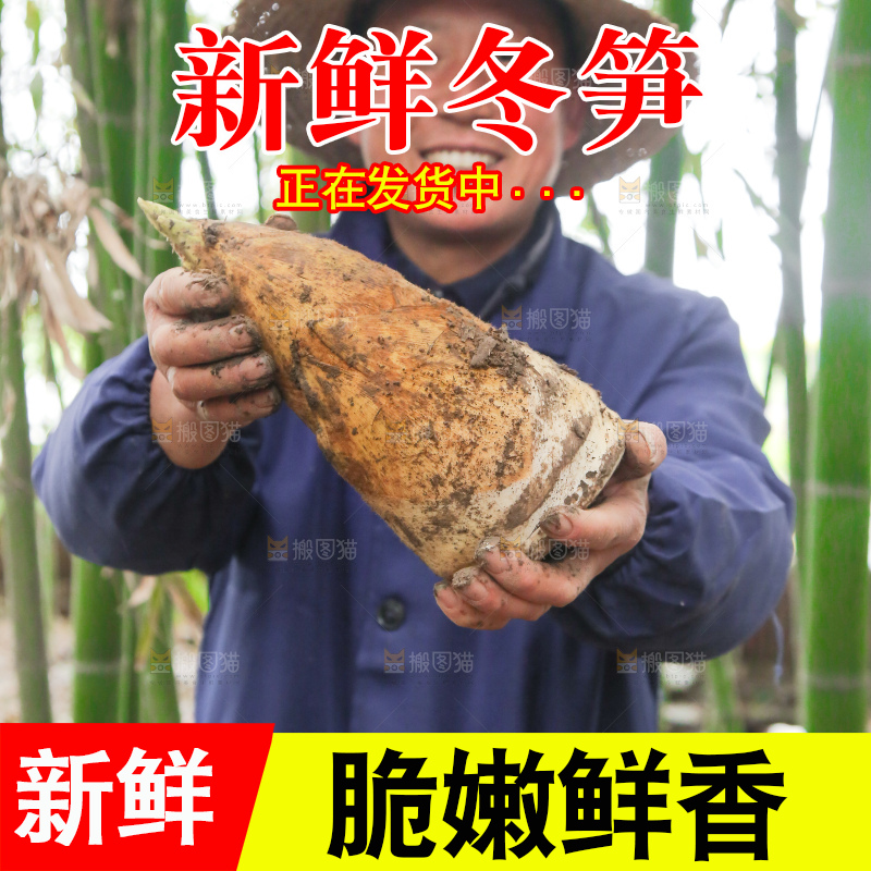 手里拿着冬笋