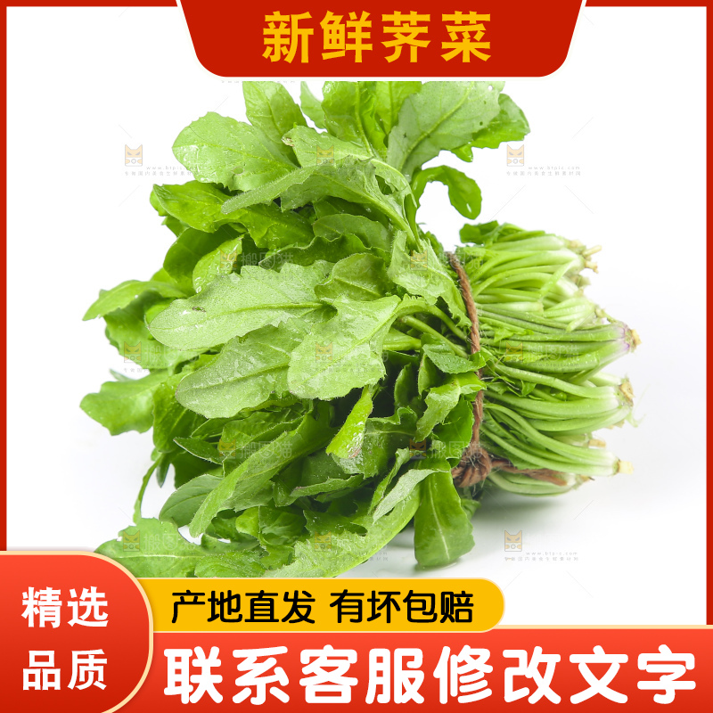 白底上的荠菜