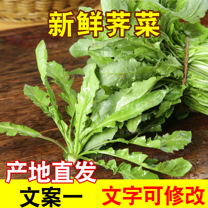 木底上的地菜