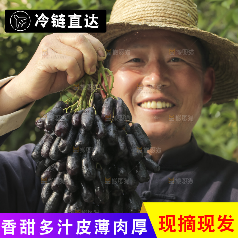 手里拿着蓝宝石葡萄