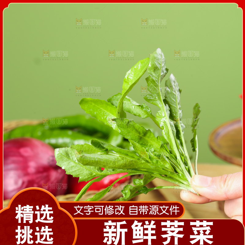 木底上的地菜
