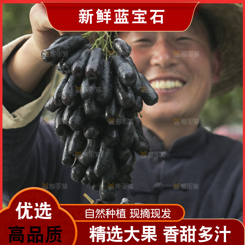 手里拿着蓝宝石葡萄
