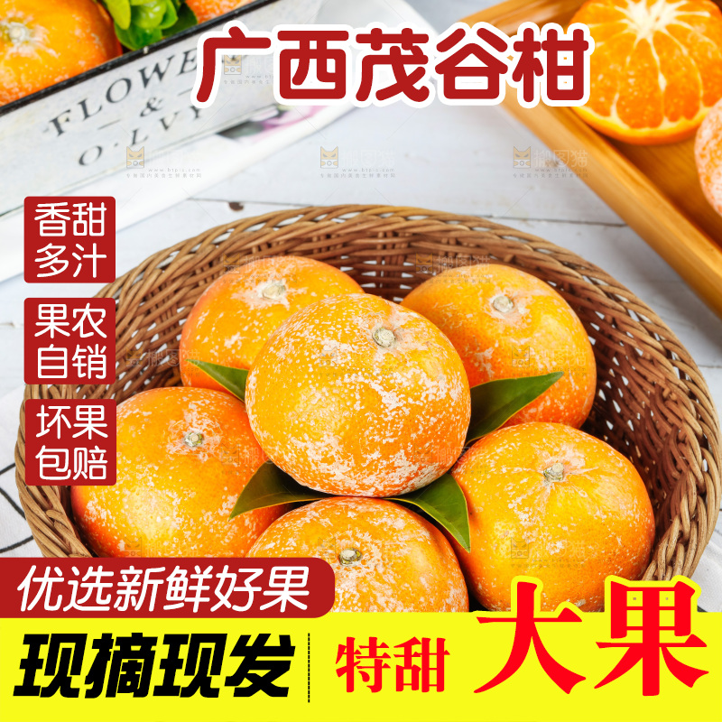浅底上的茂谷柑