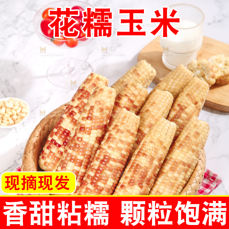 浅底上的花糯小玉米