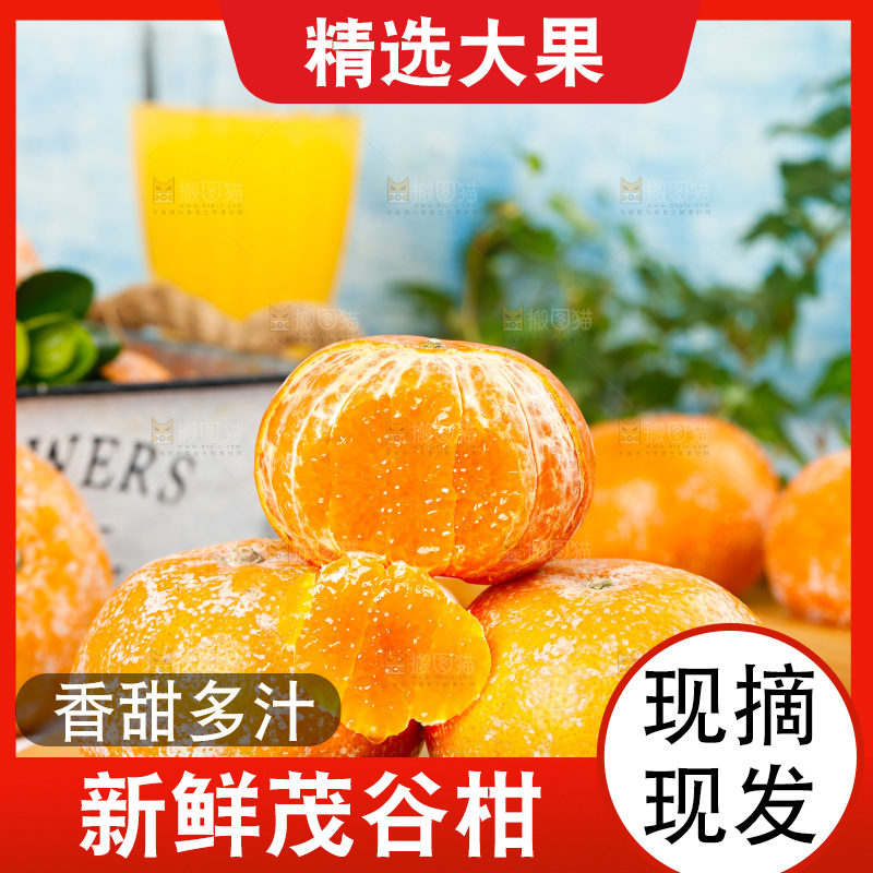 浅底上的茂谷柑
