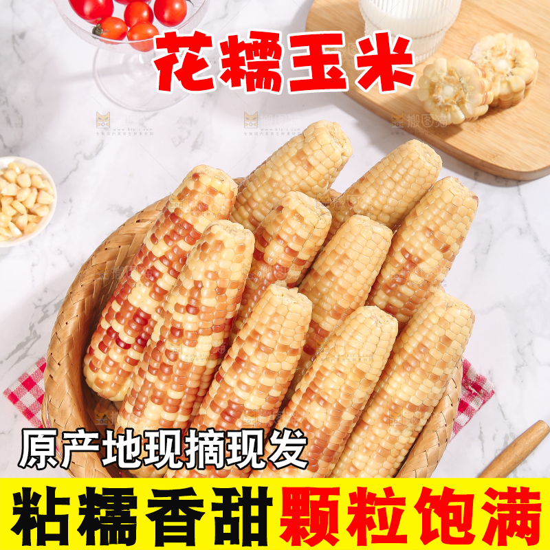 浅底上的花糯小玉米
