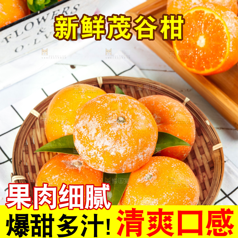 浅底上的茂谷柑