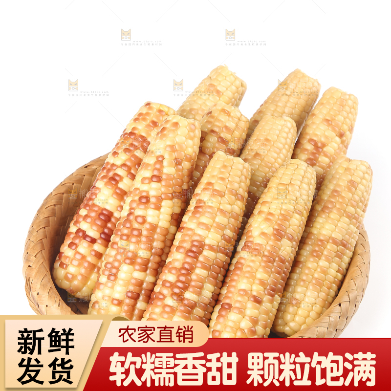 白底上的花糯小玉米