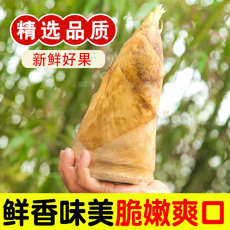 手里拿着冬笋