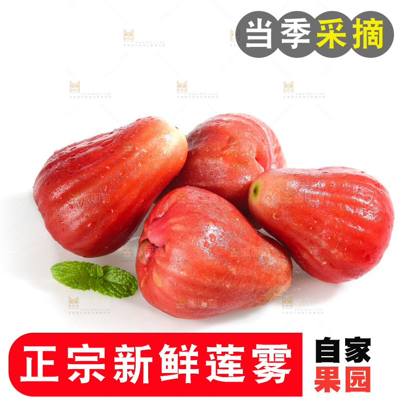 白底上的新鲜莲雾