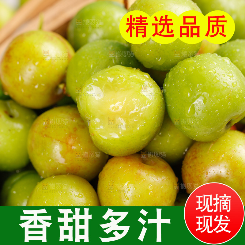 浅底上的三月李