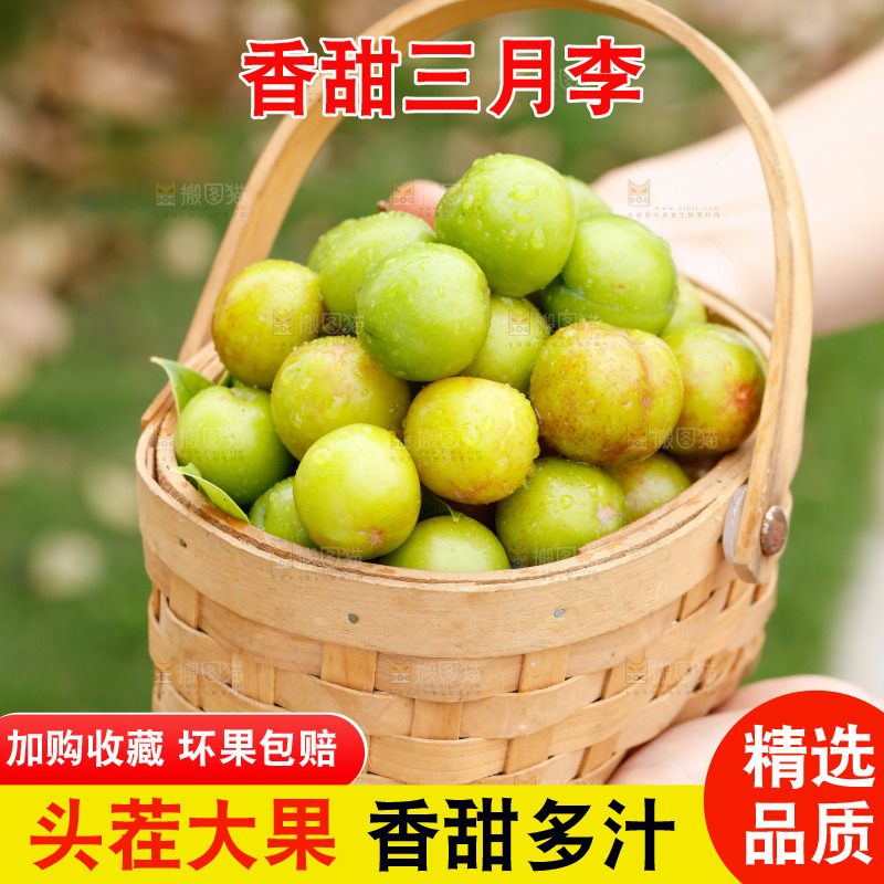 手里拿着三月李