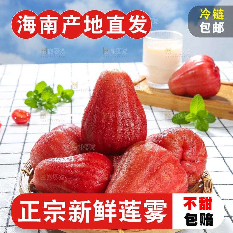 浅底上的莲雾