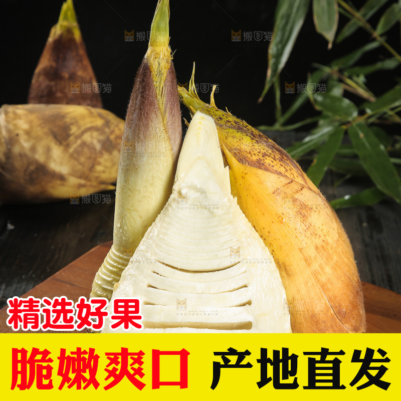 深底上的新鲜冬笋
