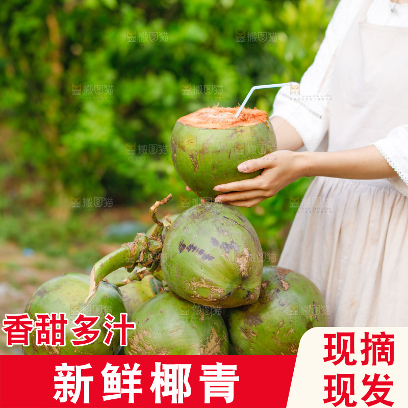 手里拿着椰青