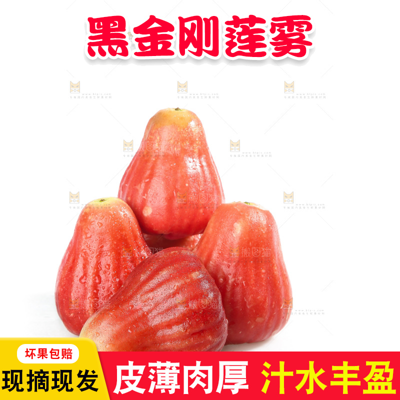 白底上的新鲜莲雾