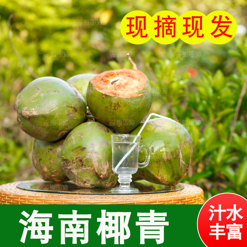 手里拿着椰青