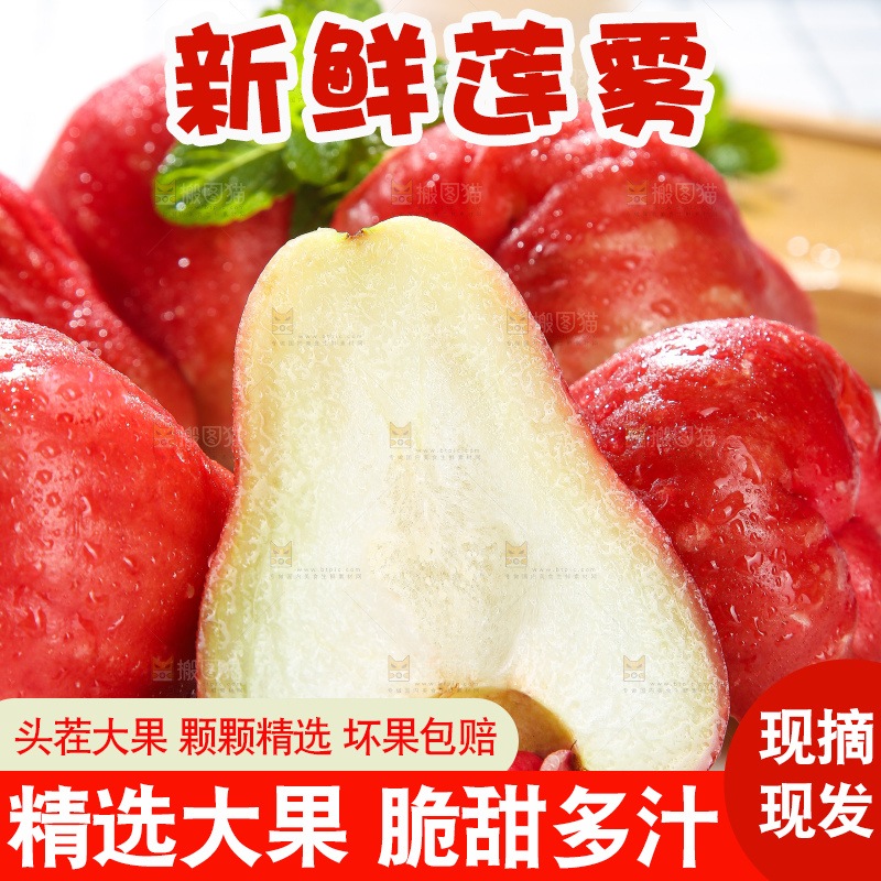 浅底上的莲雾
