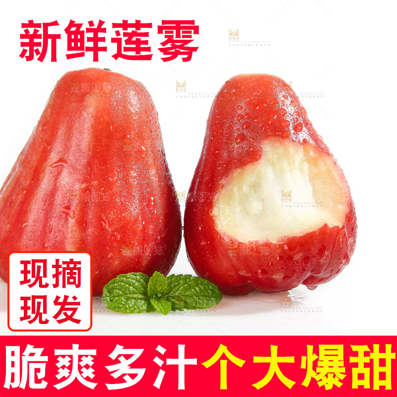 白底上的新鲜莲雾
