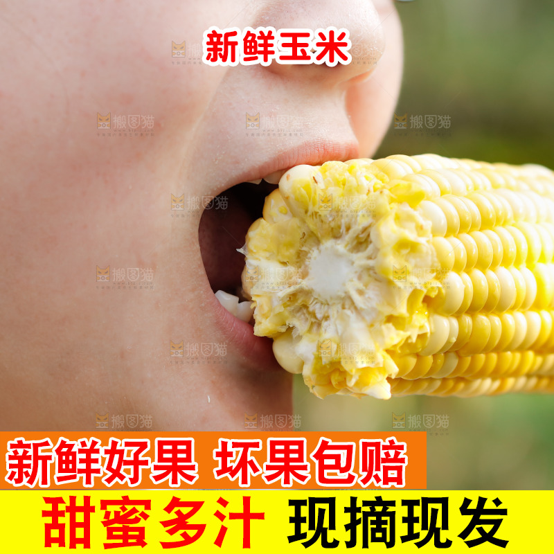 手里拿着甜玉米