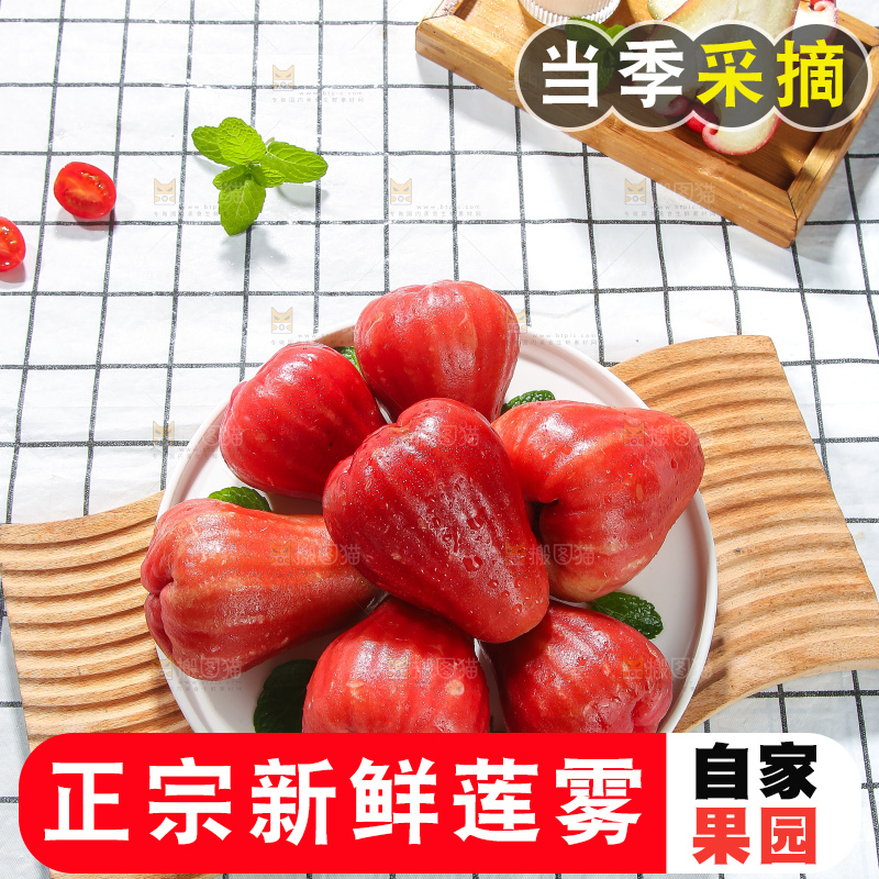 浅底上的莲雾