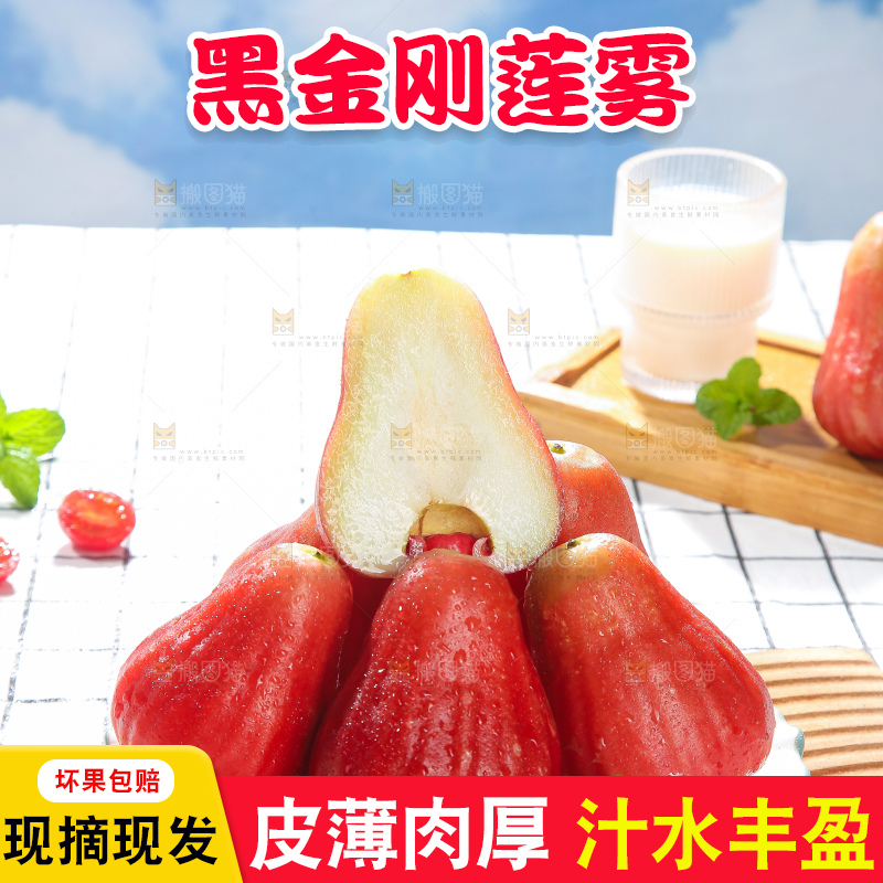 浅底上的莲雾