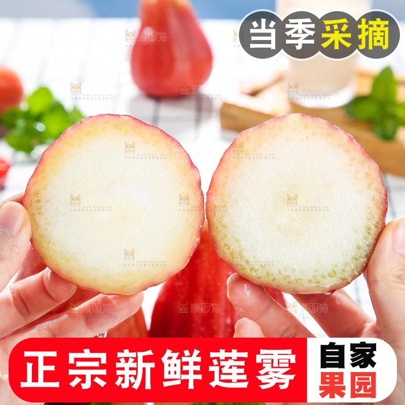 浅底上的莲雾