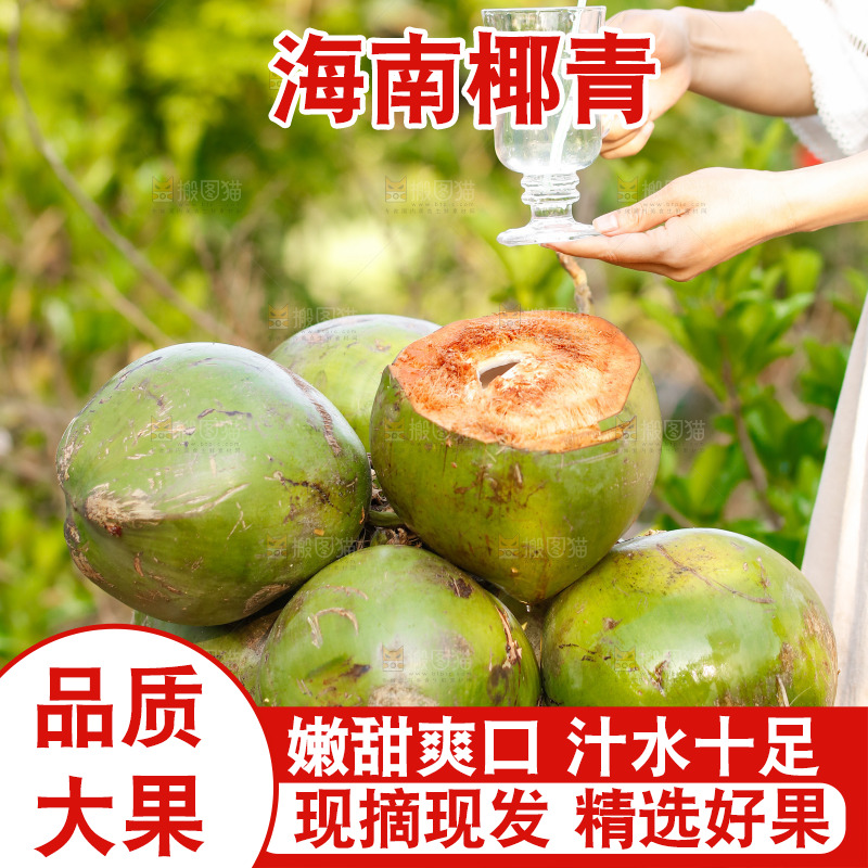 手里拿着椰青
