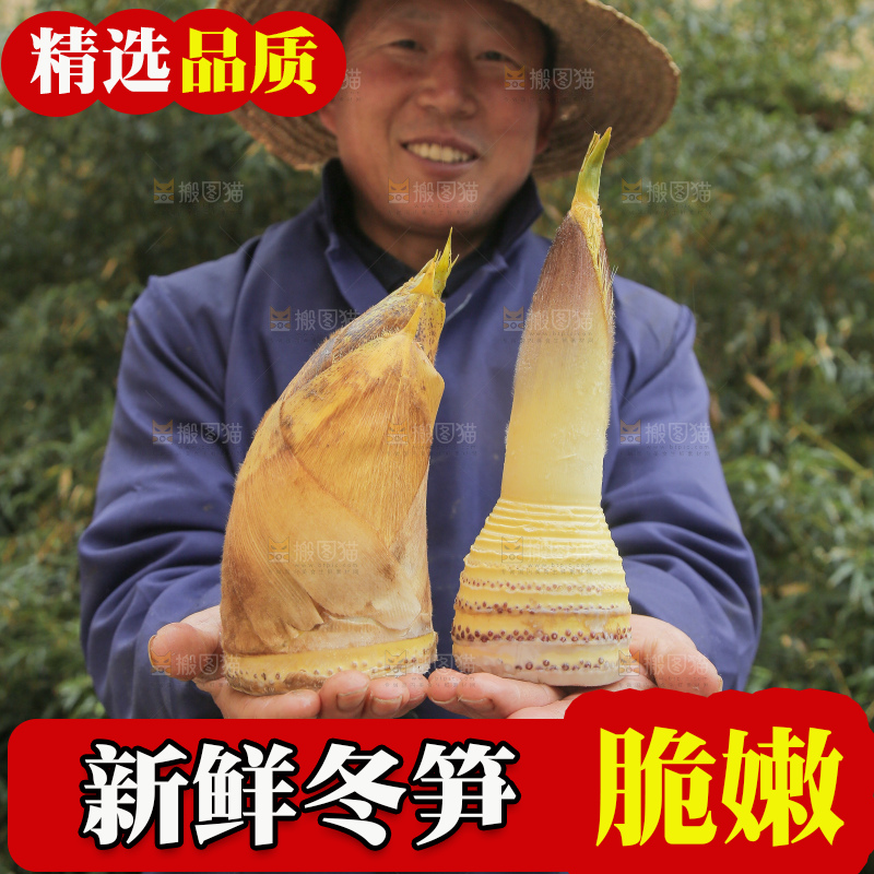 手里拿着冬笋