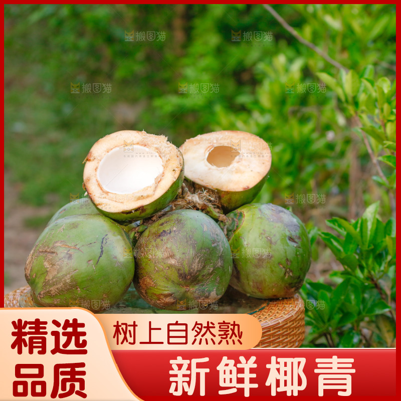 手里拿着椰青