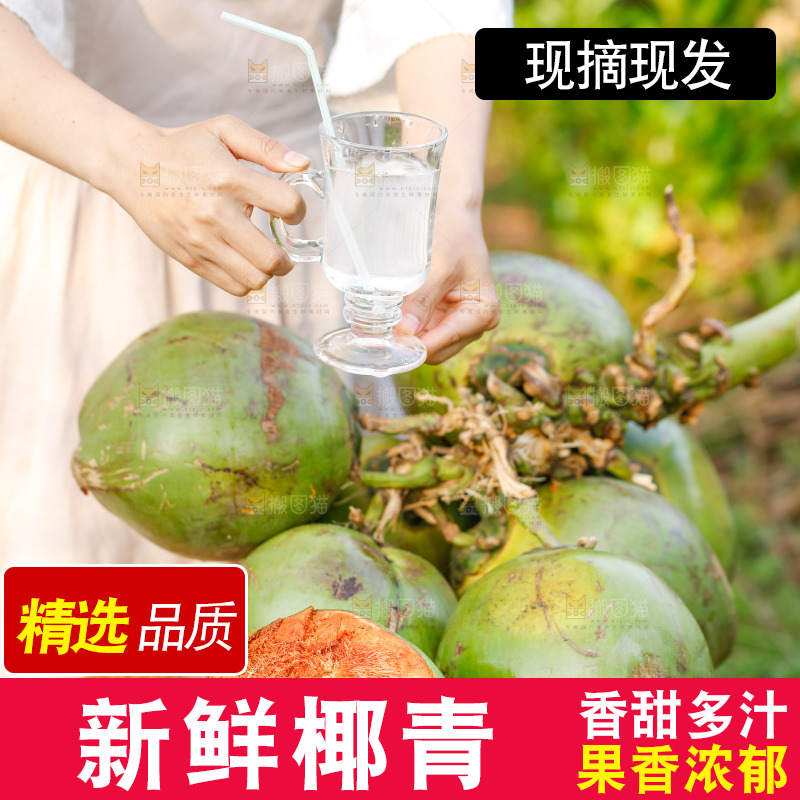 手里拿着椰青