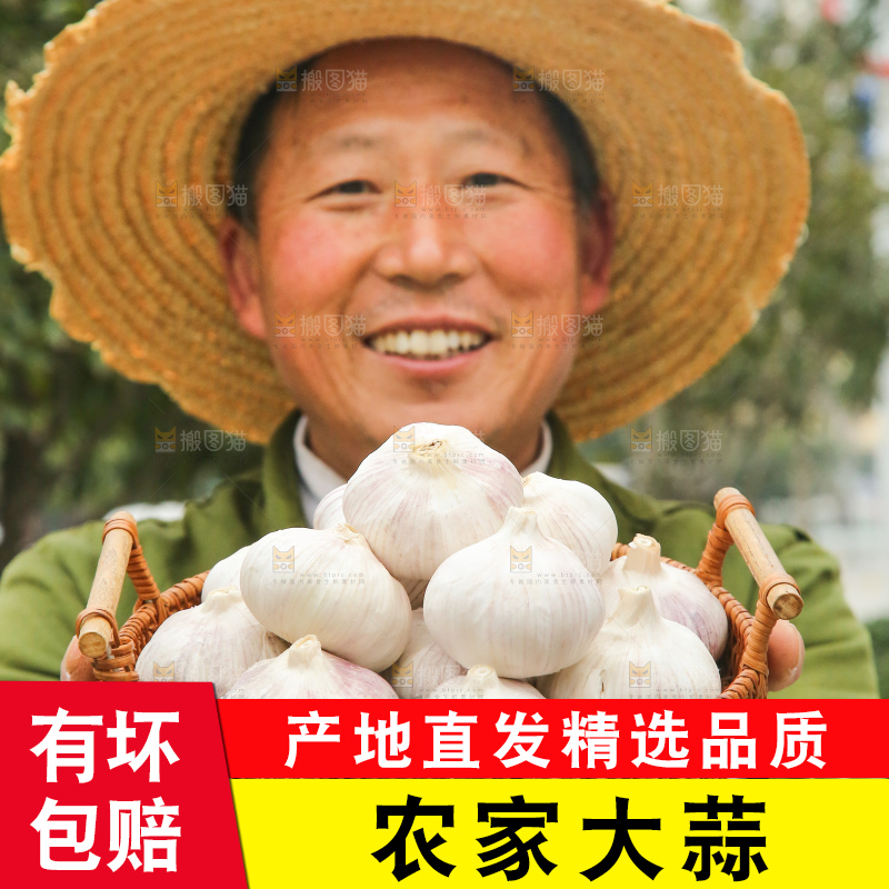 手里拿着干大蒜