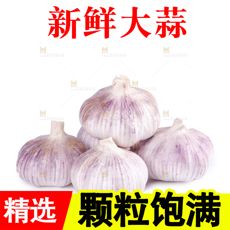 白底上的干蒜