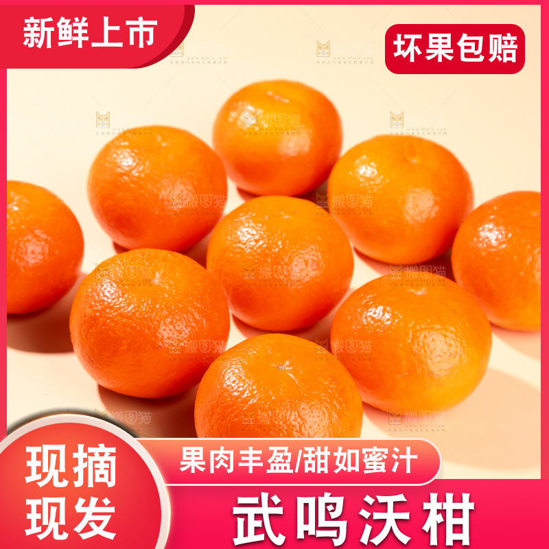 浅底上的武鸣沃柑