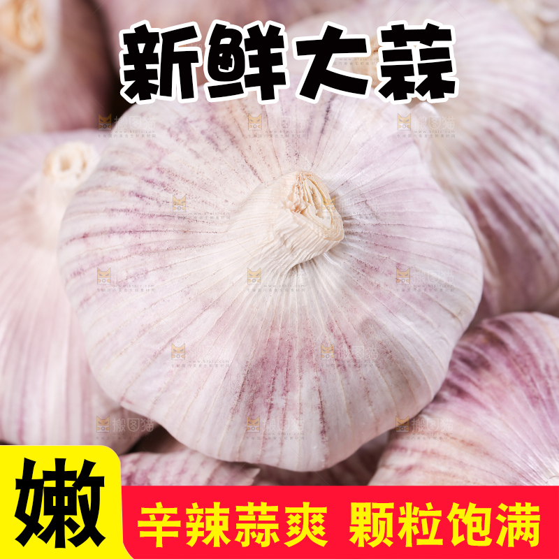 深底上的干大蒜