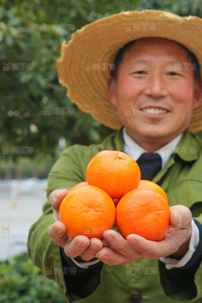 手里拿着武鸣沃柑