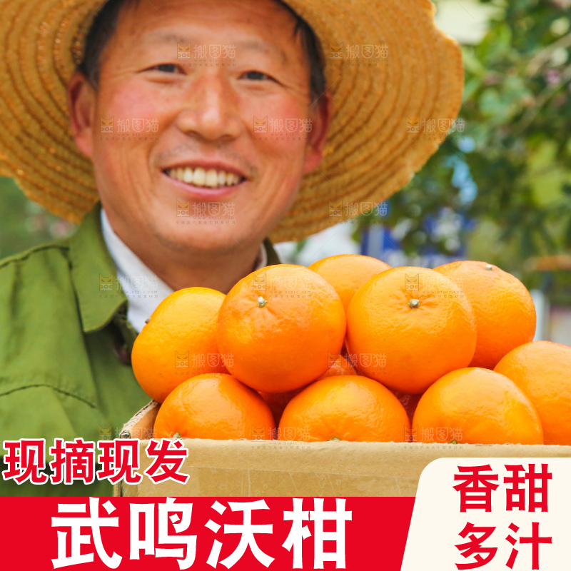 手里拿着武鸣沃柑