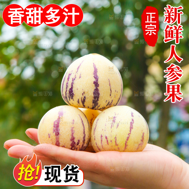 手里拿着人参果