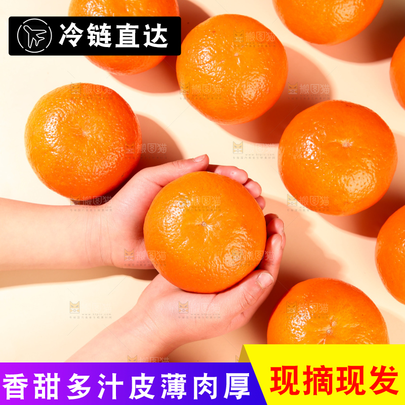 浅底上的武鸣沃柑