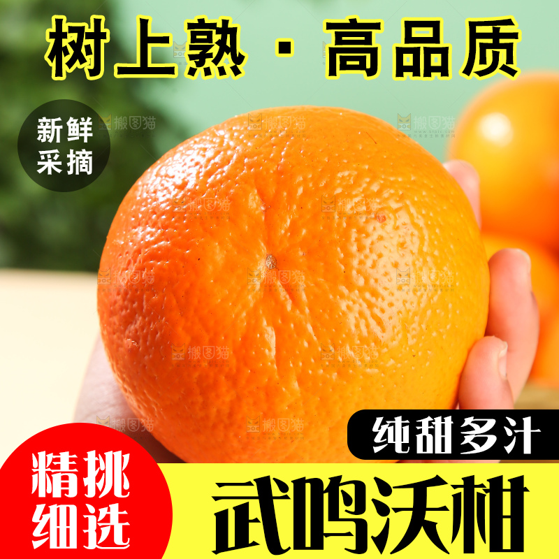 浅底上的武鸣沃柑